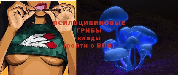 дживик Киренск