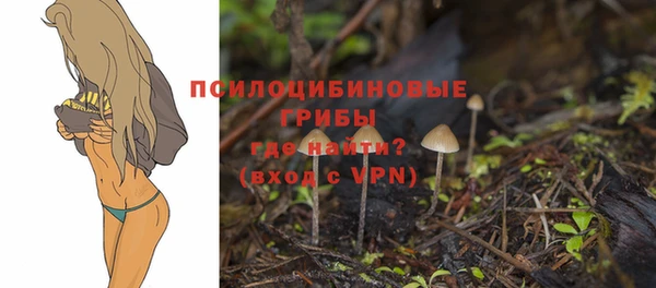 дживик Киренск