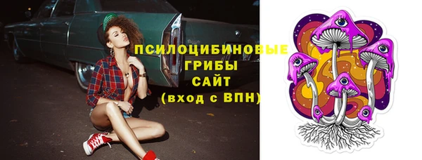 дживик Киренск