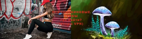ПСИЛОЦИБИНОВЫЕ ГРИБЫ Кинешма